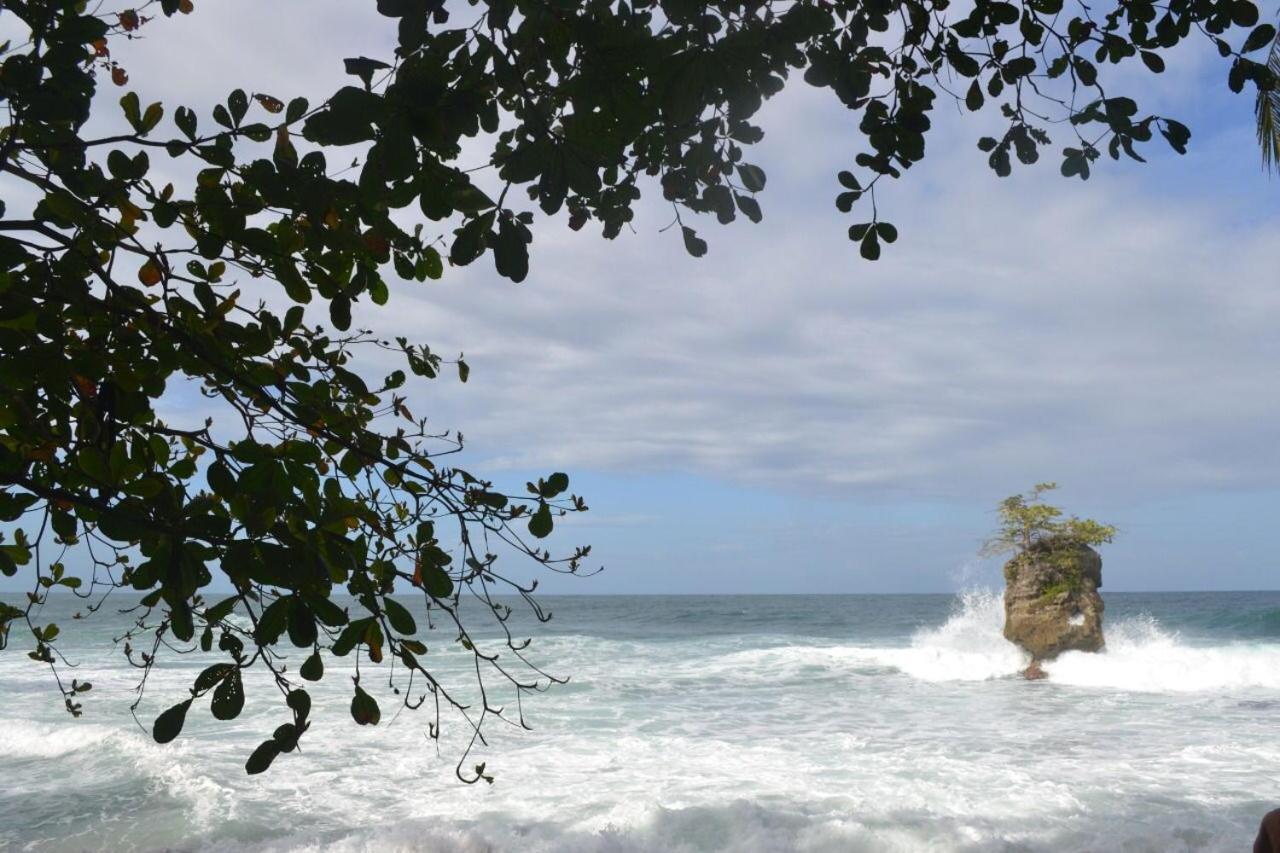 Hotel Cahuita Exteriér fotografie