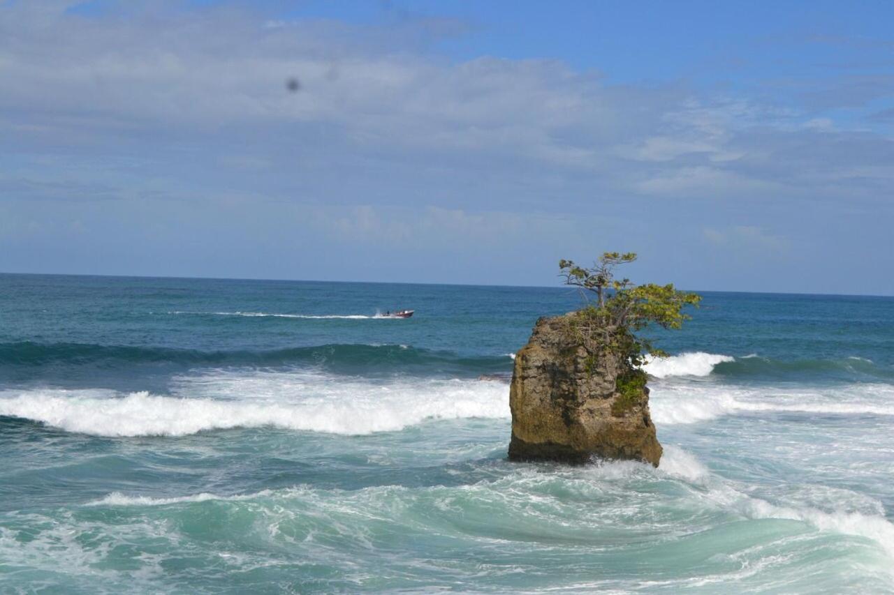 Hotel Cahuita Exteriér fotografie